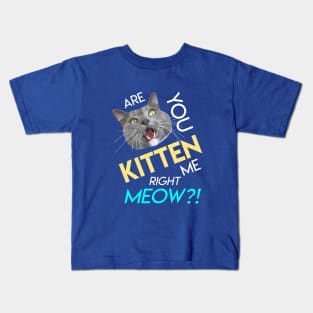 Are You Kitten Me Right Meow? Kids T-Shirt